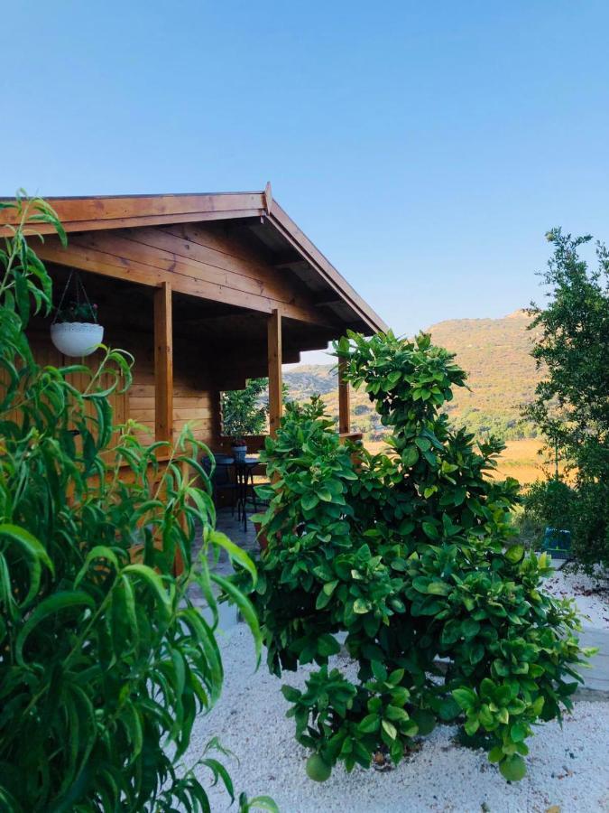 Happy Glamping Cy Villa Agios Theodoros Екстериор снимка