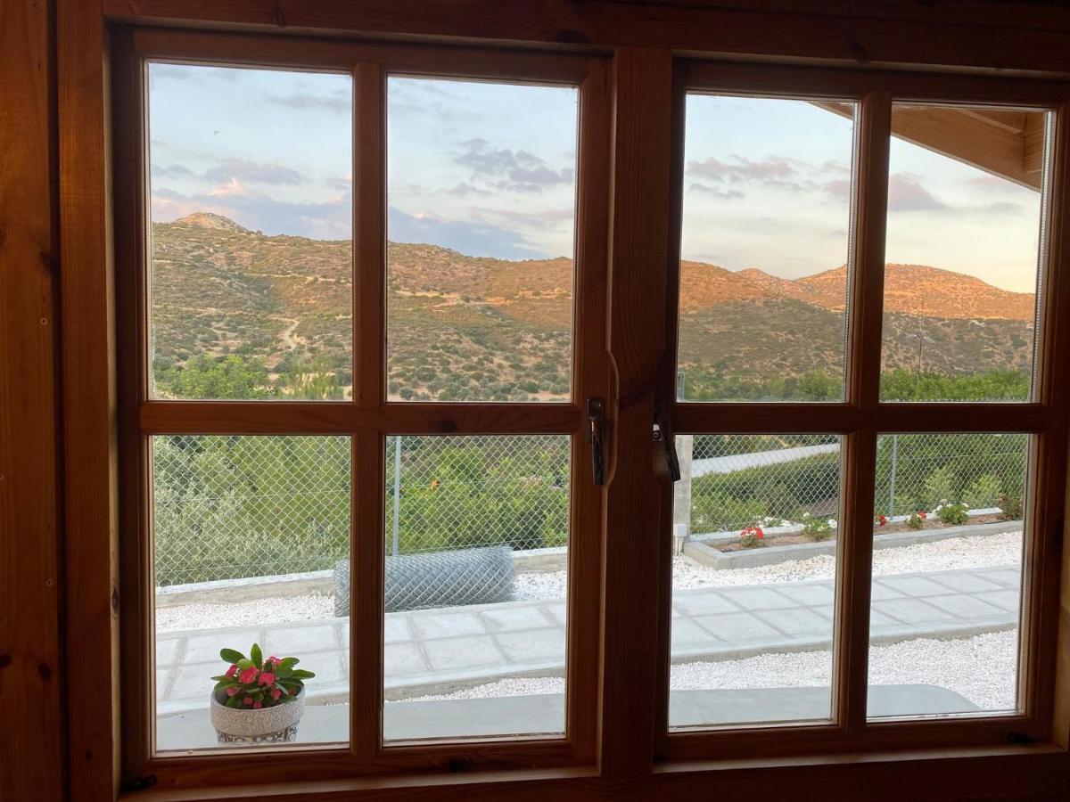 Happy Glamping Cy Villa Agios Theodoros Екстериор снимка