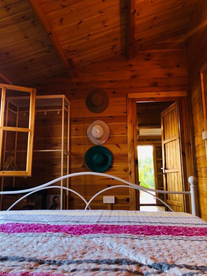 Happy Glamping Cy Villa Agios Theodoros Екстериор снимка