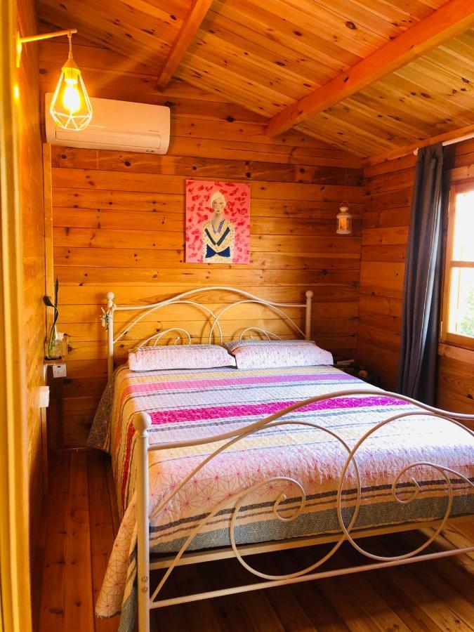 Happy Glamping Cy Villa Agios Theodoros Екстериор снимка