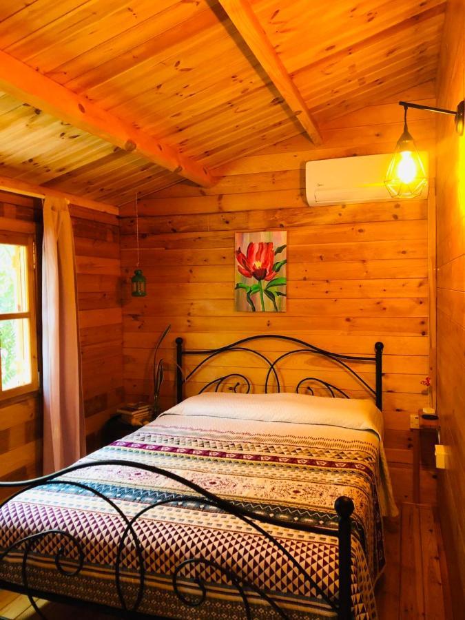 Happy Glamping Cy Villa Agios Theodoros Екстериор снимка
