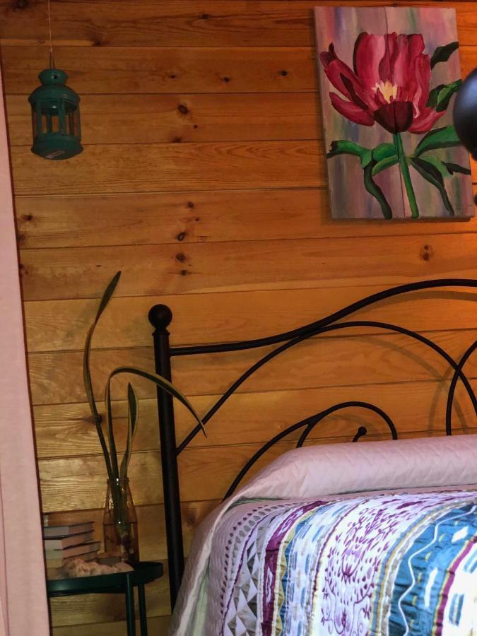 Happy Glamping Cy Villa Agios Theodoros Екстериор снимка