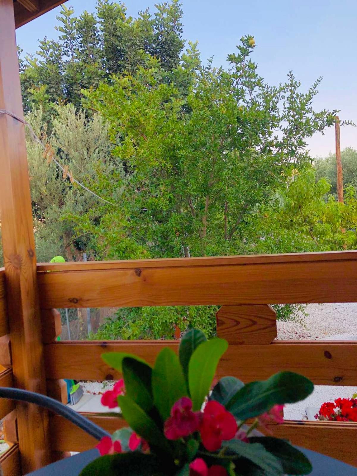 Happy Glamping Cy Villa Agios Theodoros Стая снимка